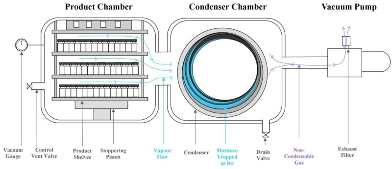 components of a freeze drye components of a freeze drye